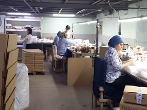 Supplier verification for Indonesian clothing factories